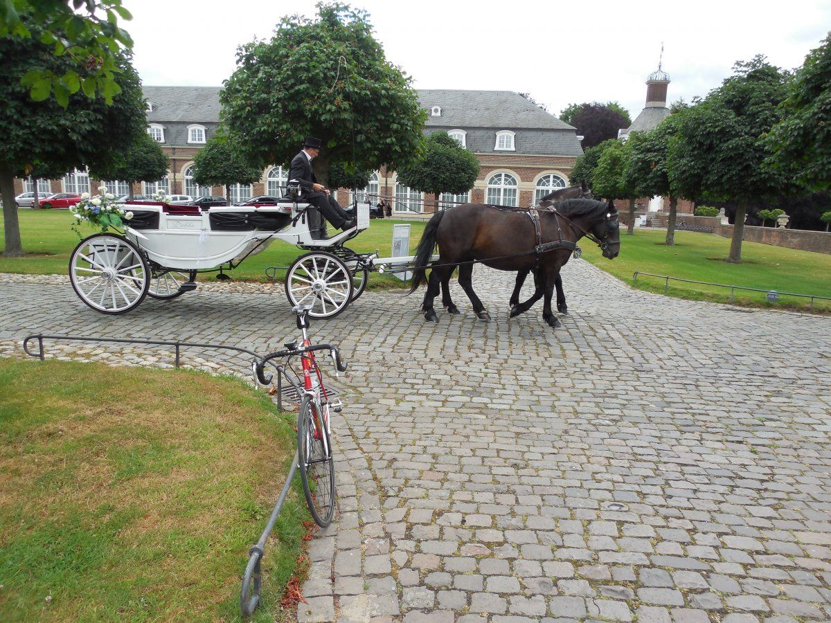 DSCN5840.JPG
