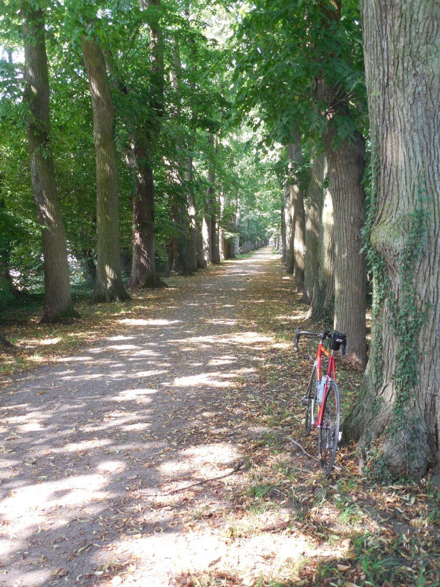 DSCN5973.JPG