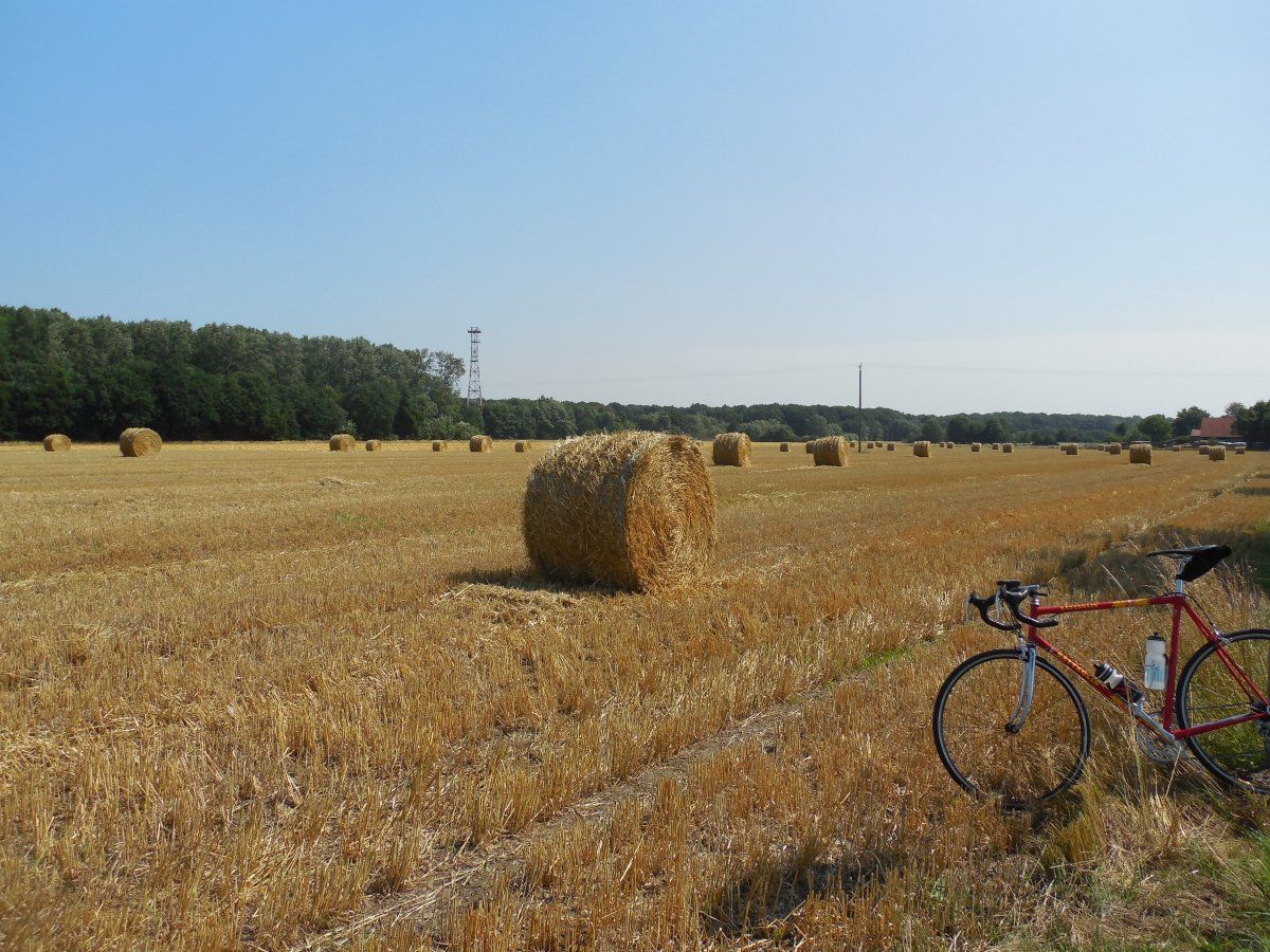 DSCN5975.JPG