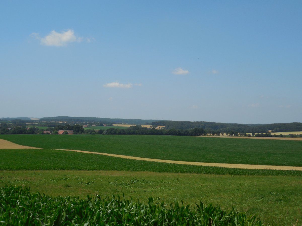 DSCN5984.JPG