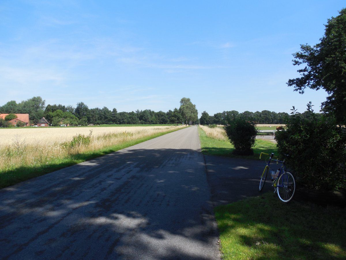 DSCN6088.JPG