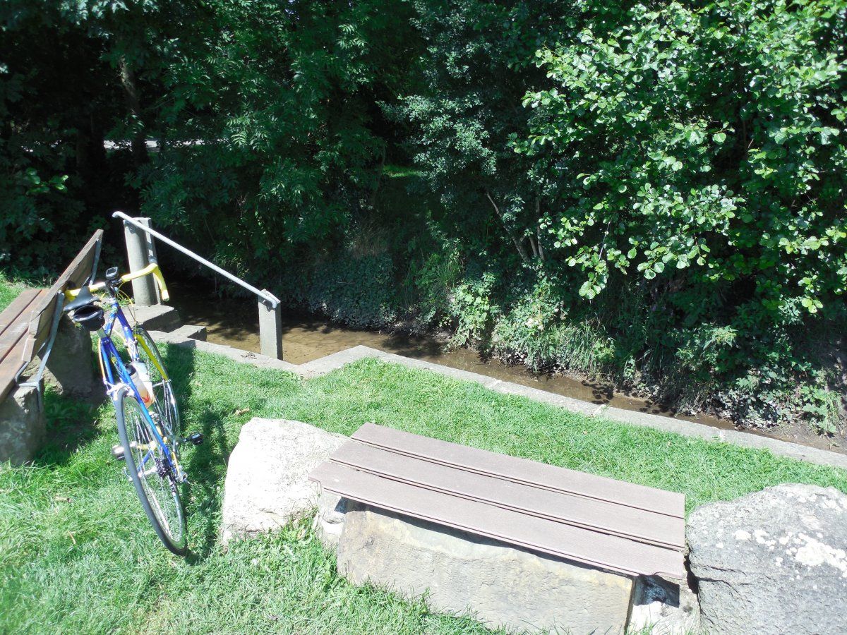 DSCN6096.JPG