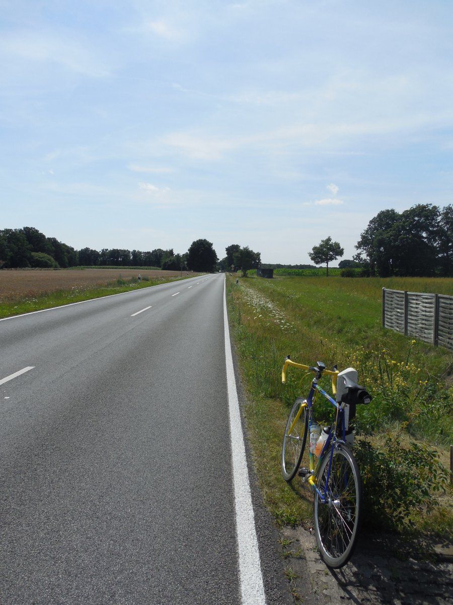 DSCN6102.JPG