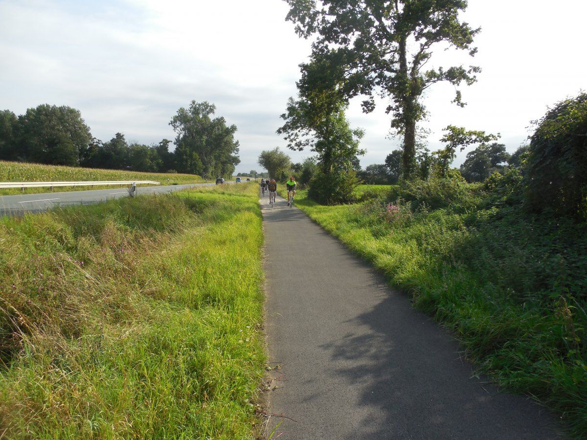DSCN6406.JPG