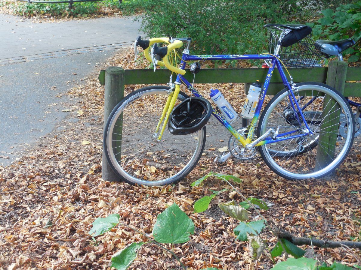 DSCN6478.JPG