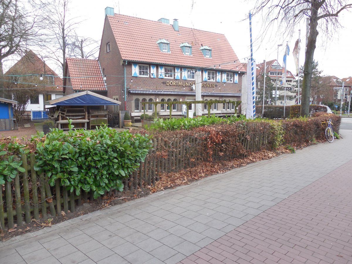 DSCN6853.JPG