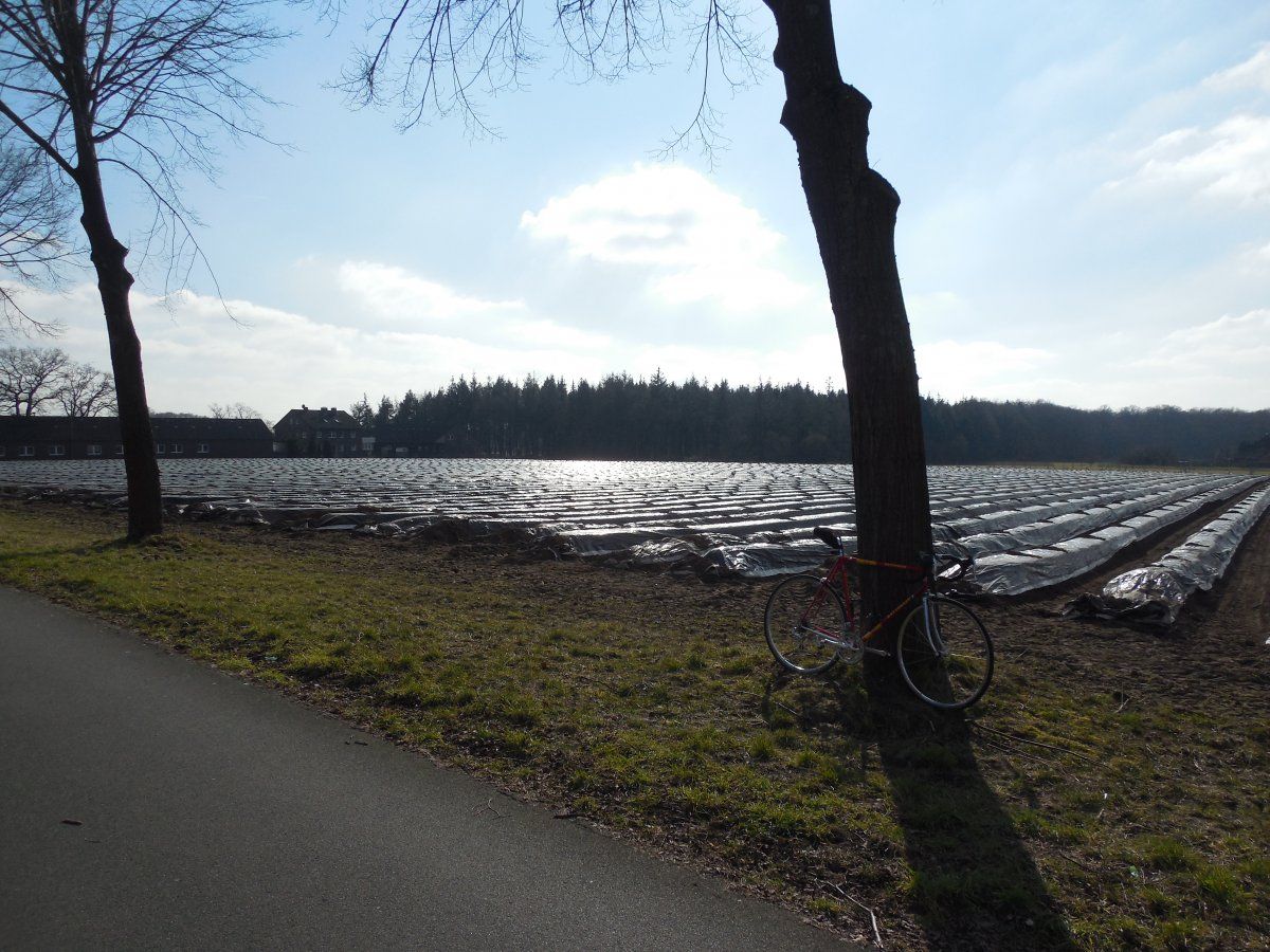 DSCN7178.JPG