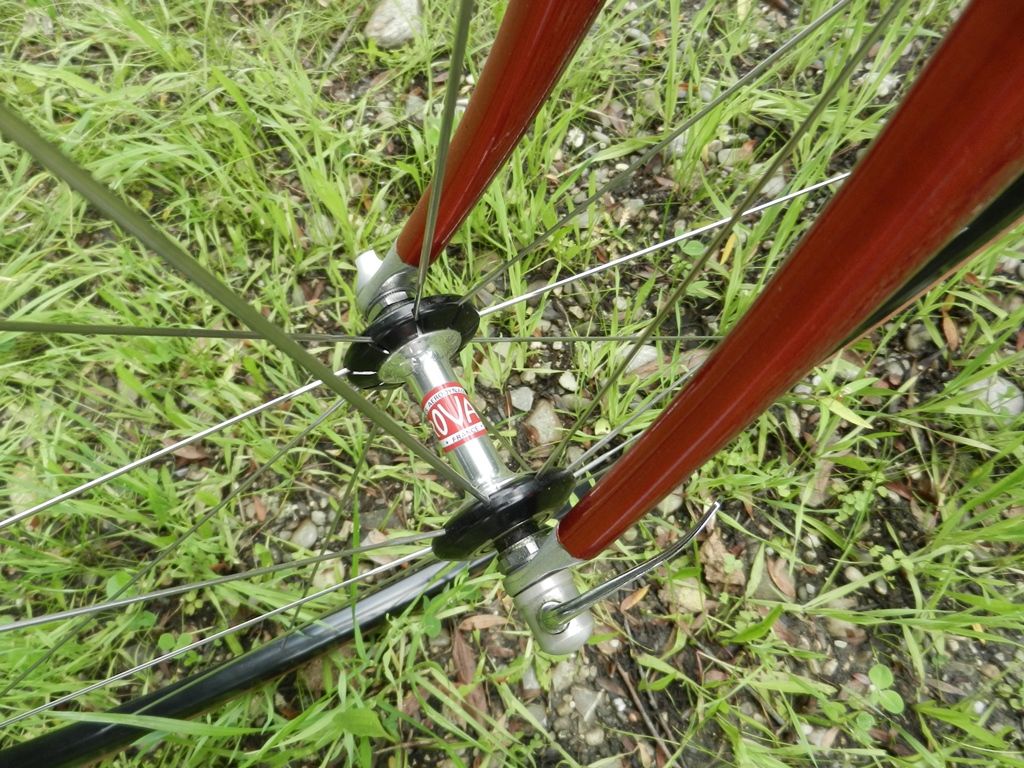 DSCN7696.JPG