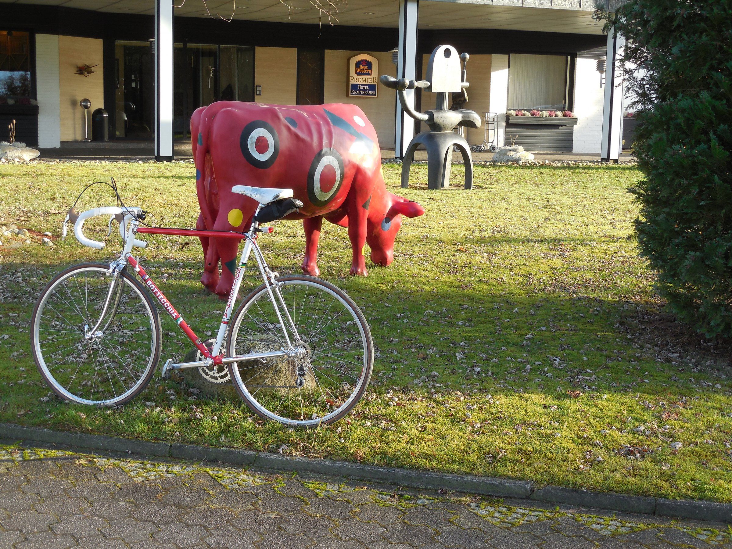DSCN7879.JPG