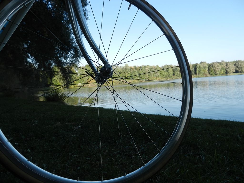 DSCN8135.JPG