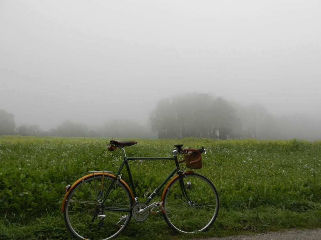 DSCN8198.JPG
