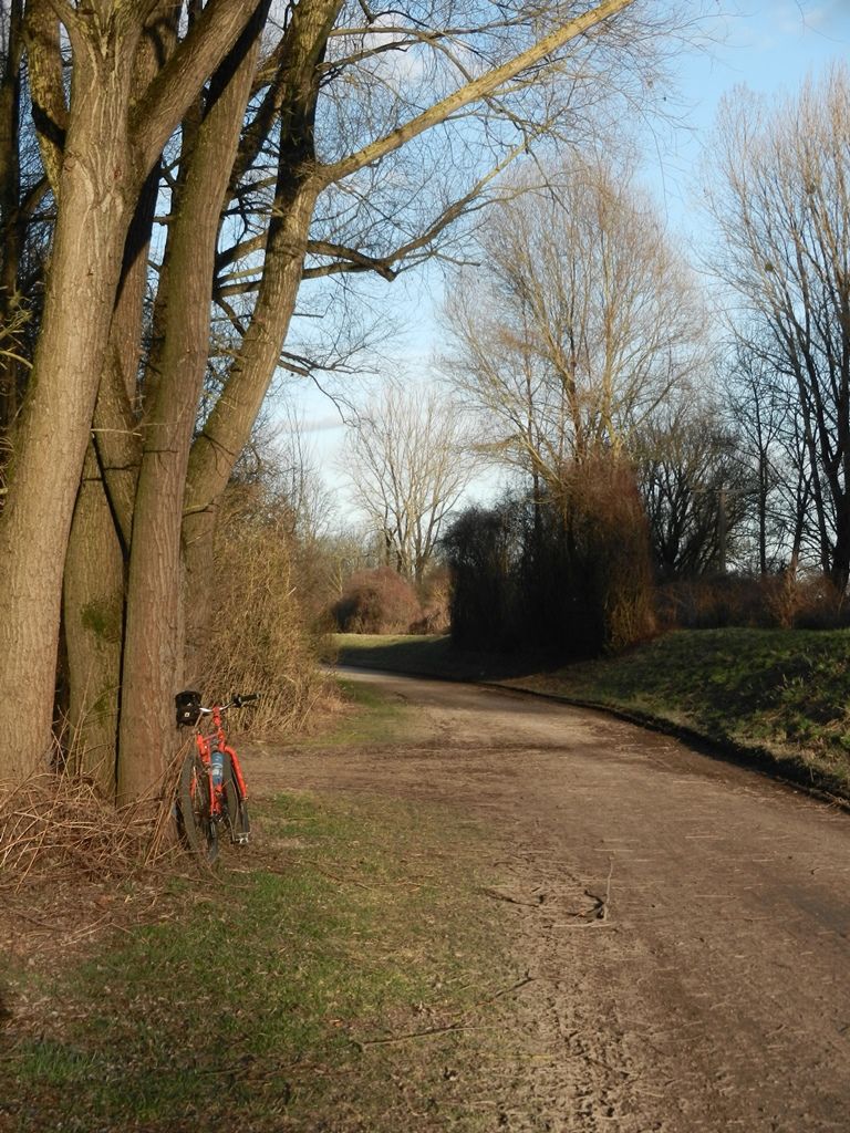 DSCN8373.JPG