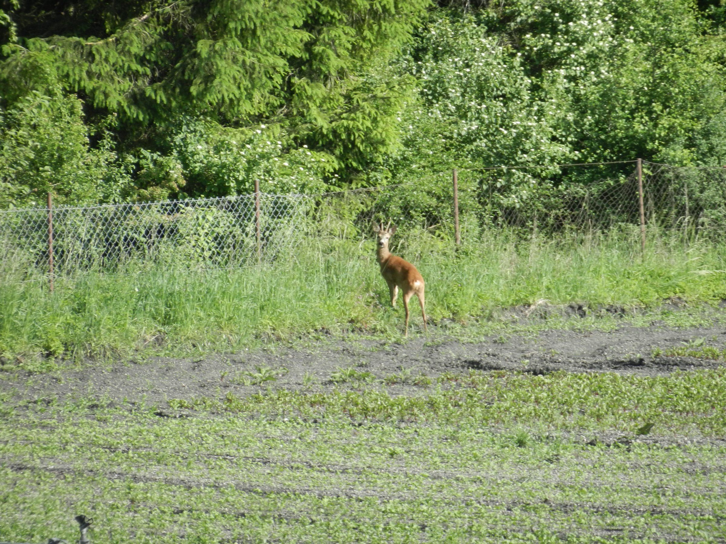 DSCN8589.JPG