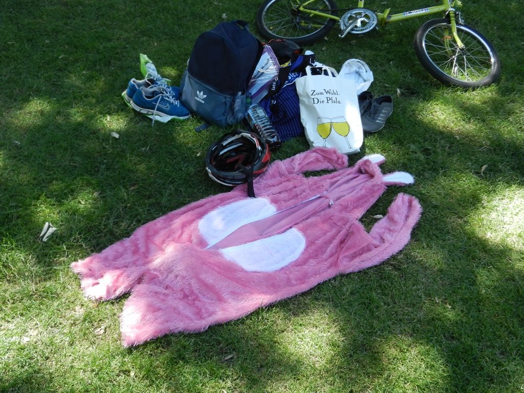 DSCN8679.JPG
