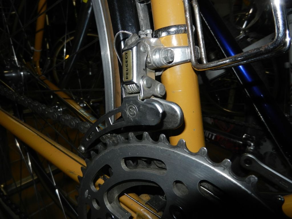 DSCN8991.JPG
