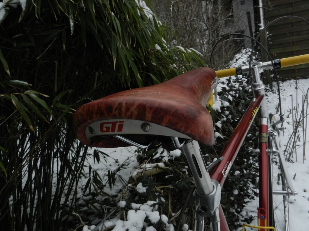 DSCN9176.JPG