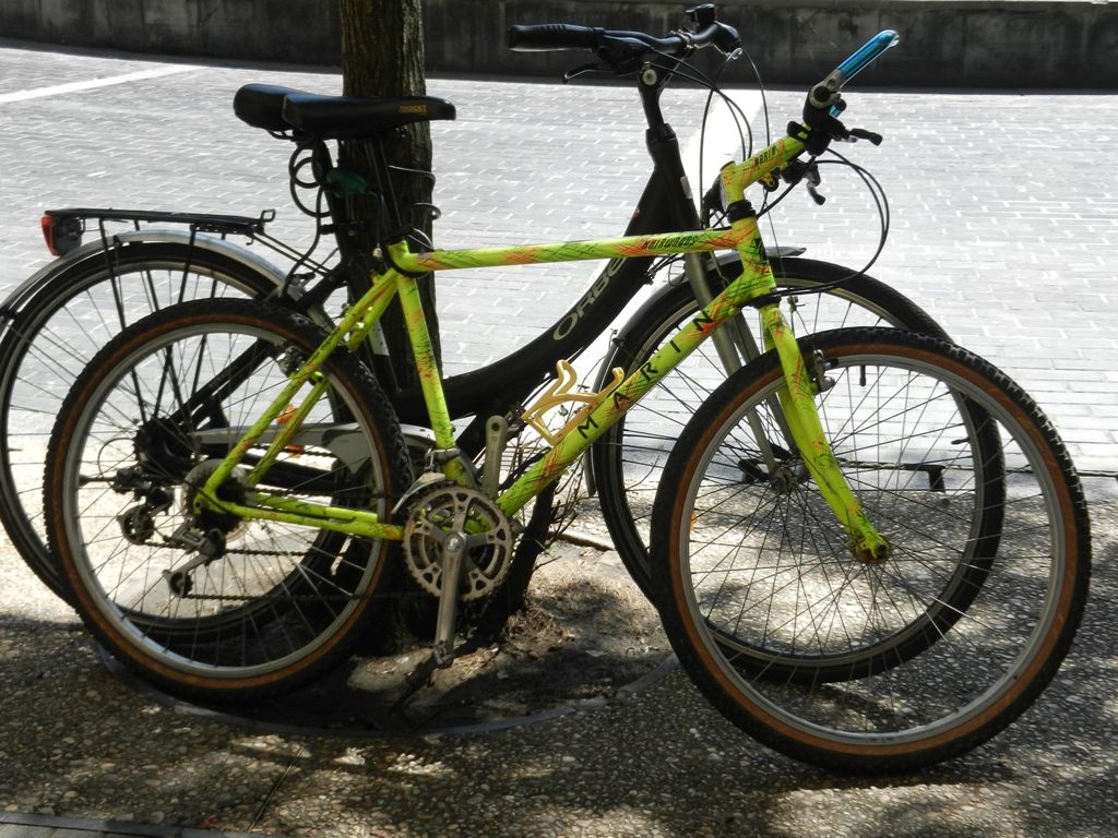 DSCN9536.JPG