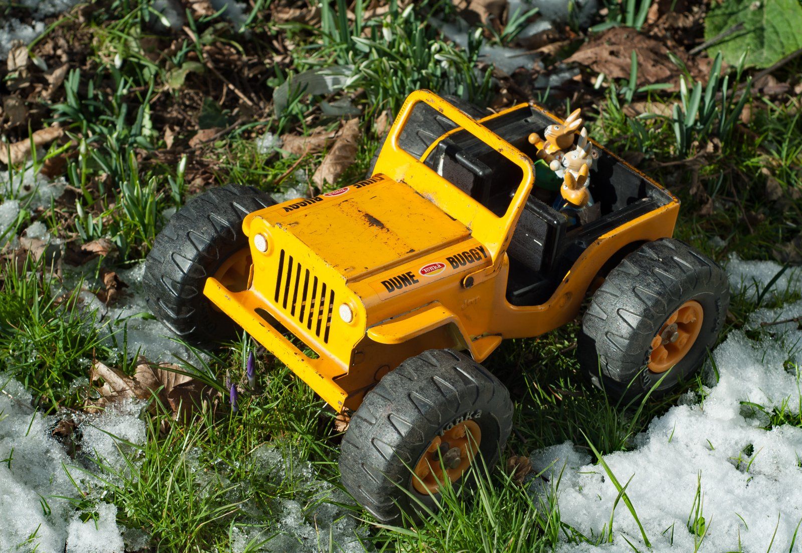 Dune Buggy im Krokuswald.jpg