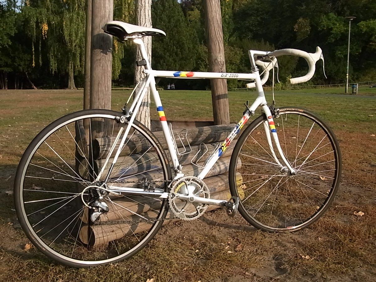 DX5000 Seite groß.JPG