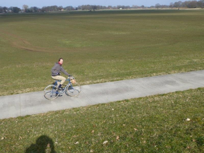 DYVIR56H.jpg