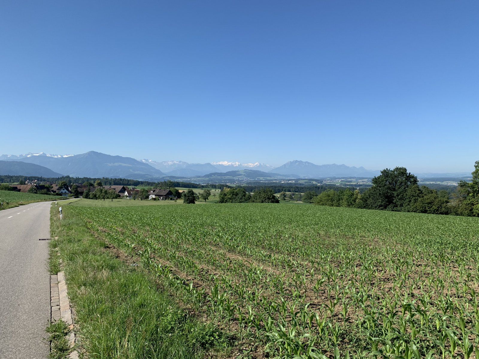 E1380CA6-4B31-47D9-8586-9F2B80A2C58B.jpeg