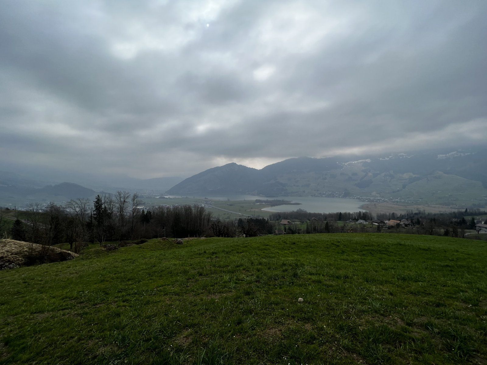 E2C7FE74-025F-45B6-A1A2-272FEF105794.jpeg