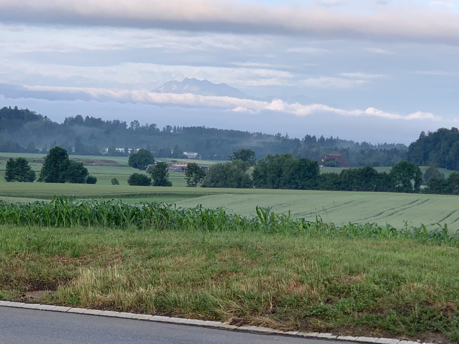E4D61072-028E-4D0E-A9BA-8B92765D9FC0.jpeg