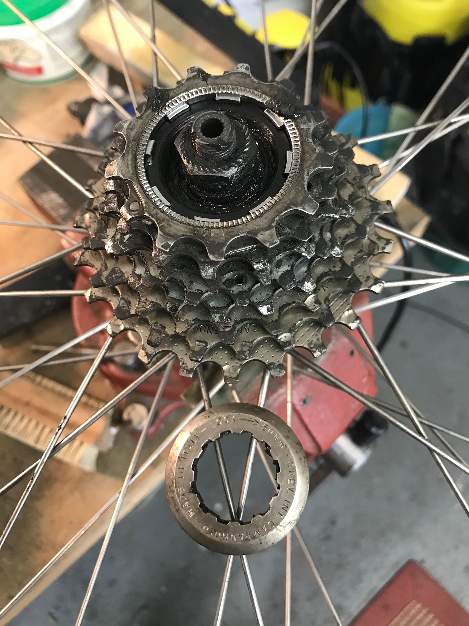 E4E85FBE-352E-4F95-B576-B00722AB4A32.jpeg