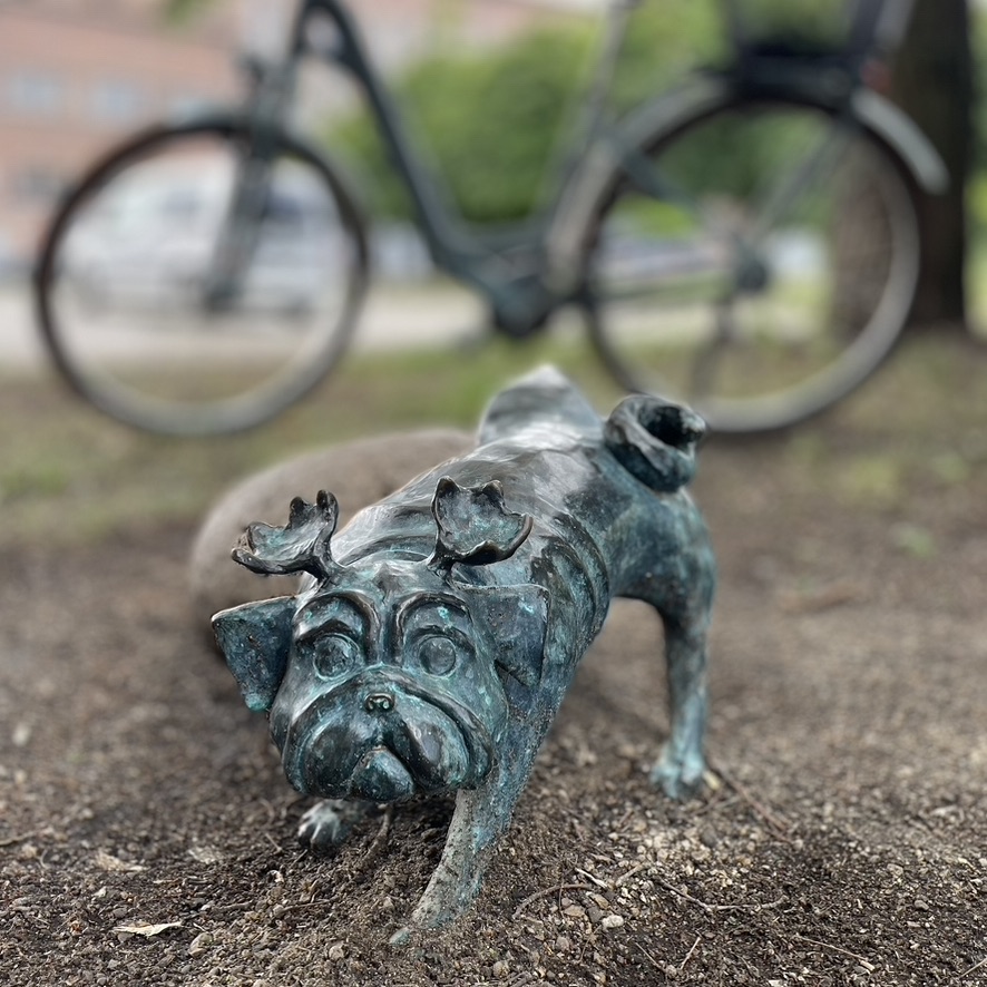 EC051967-DA72-4320-B294-1BBDE205F371_1_105_c.jpeg
