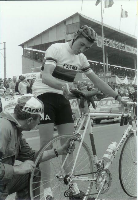 Eddy Merckx Faema.jpg