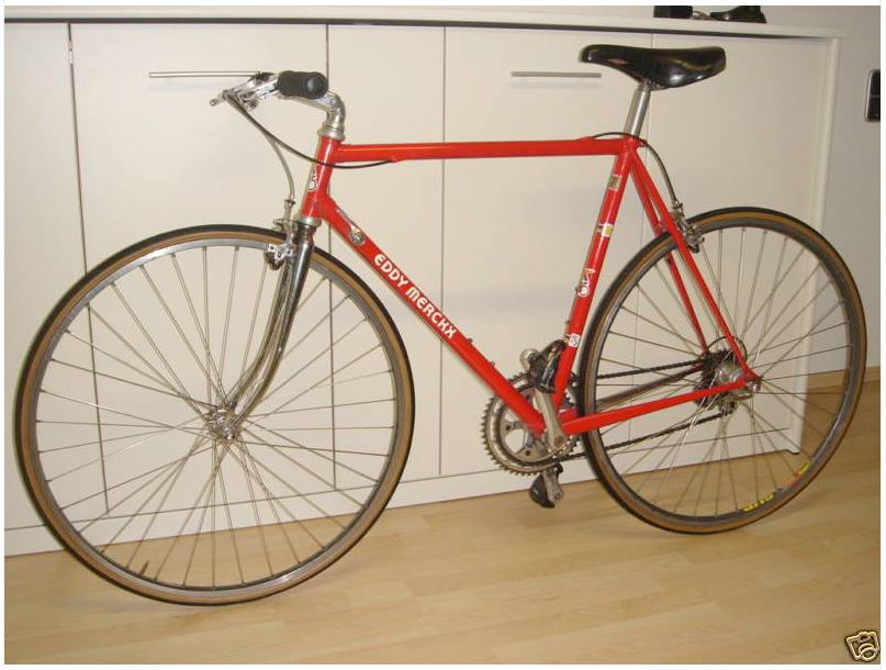 eddy-ralle.jpg