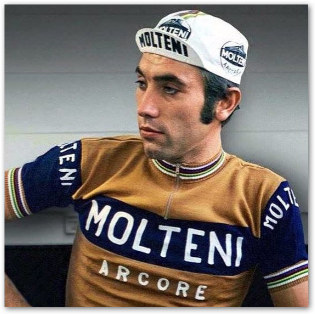 Eddy_27.png