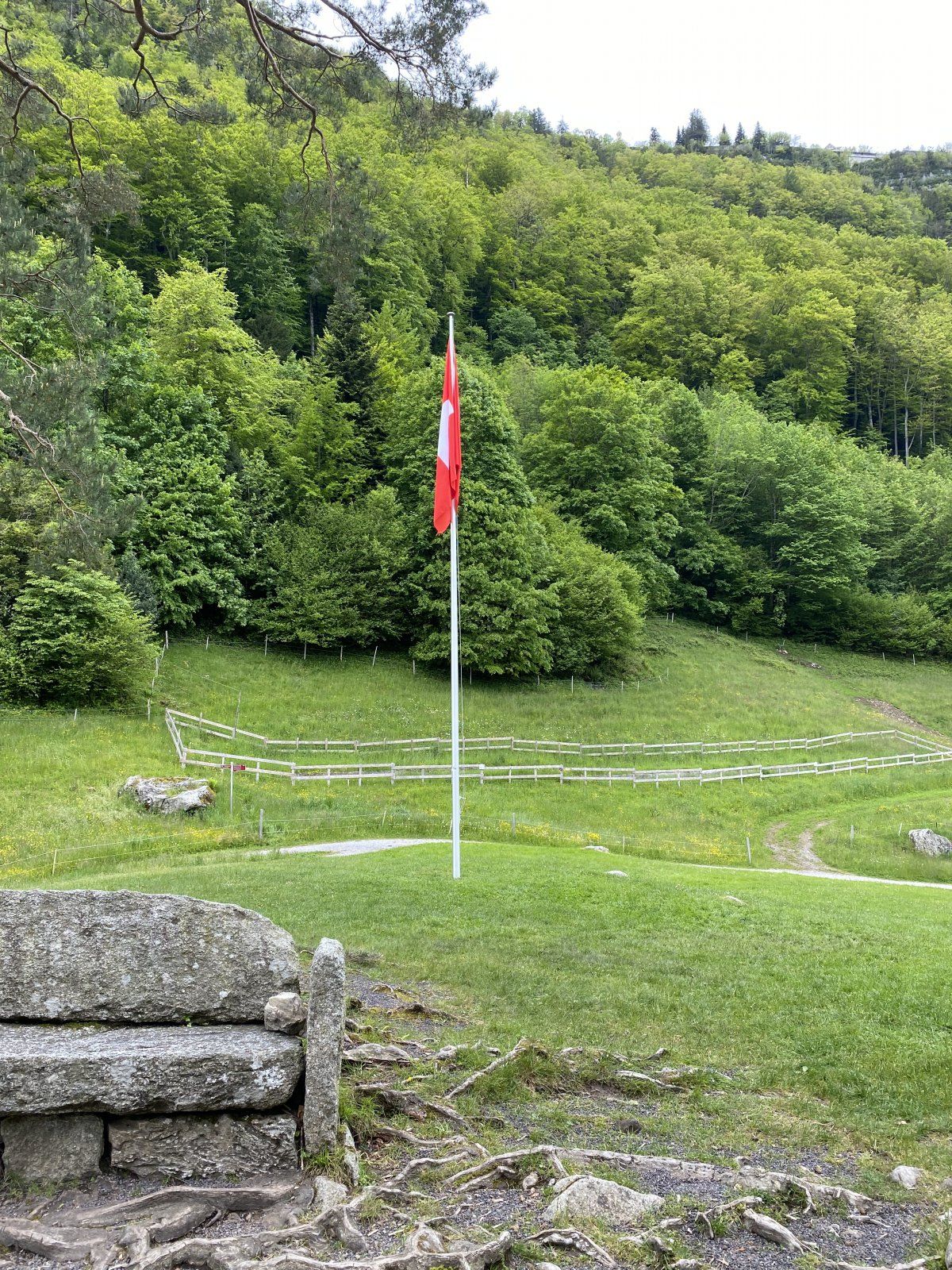 EE0187DE-C57D-414E-9C88-27B247382823.jpeg