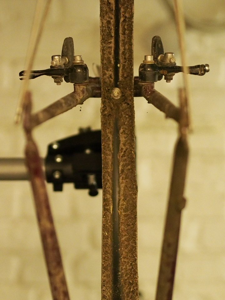 EM5Z3549.JPG