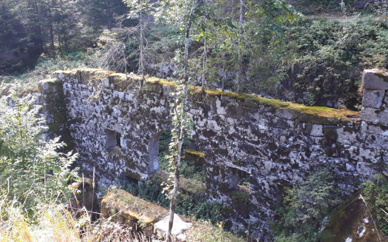 endlasmuehle_ruine.jpg