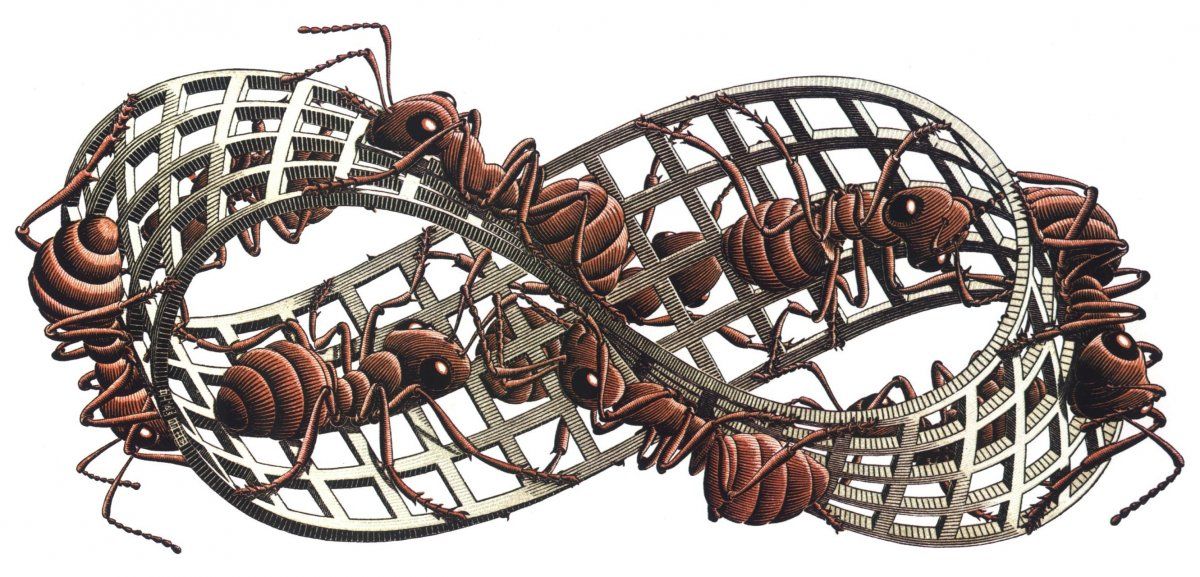 escher ants.jpg