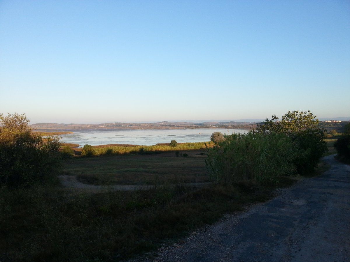 Etang des Vendres.jpg