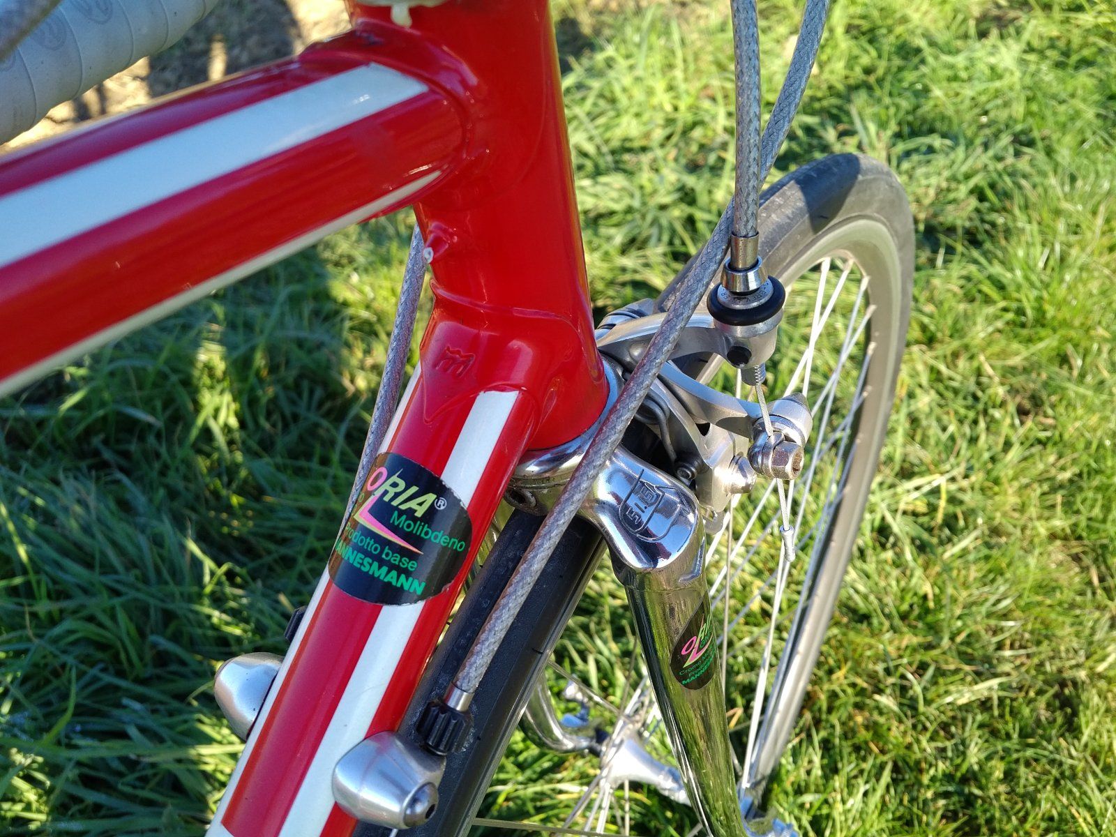 F.Moser NP Einstellfahrt 00009.jpg