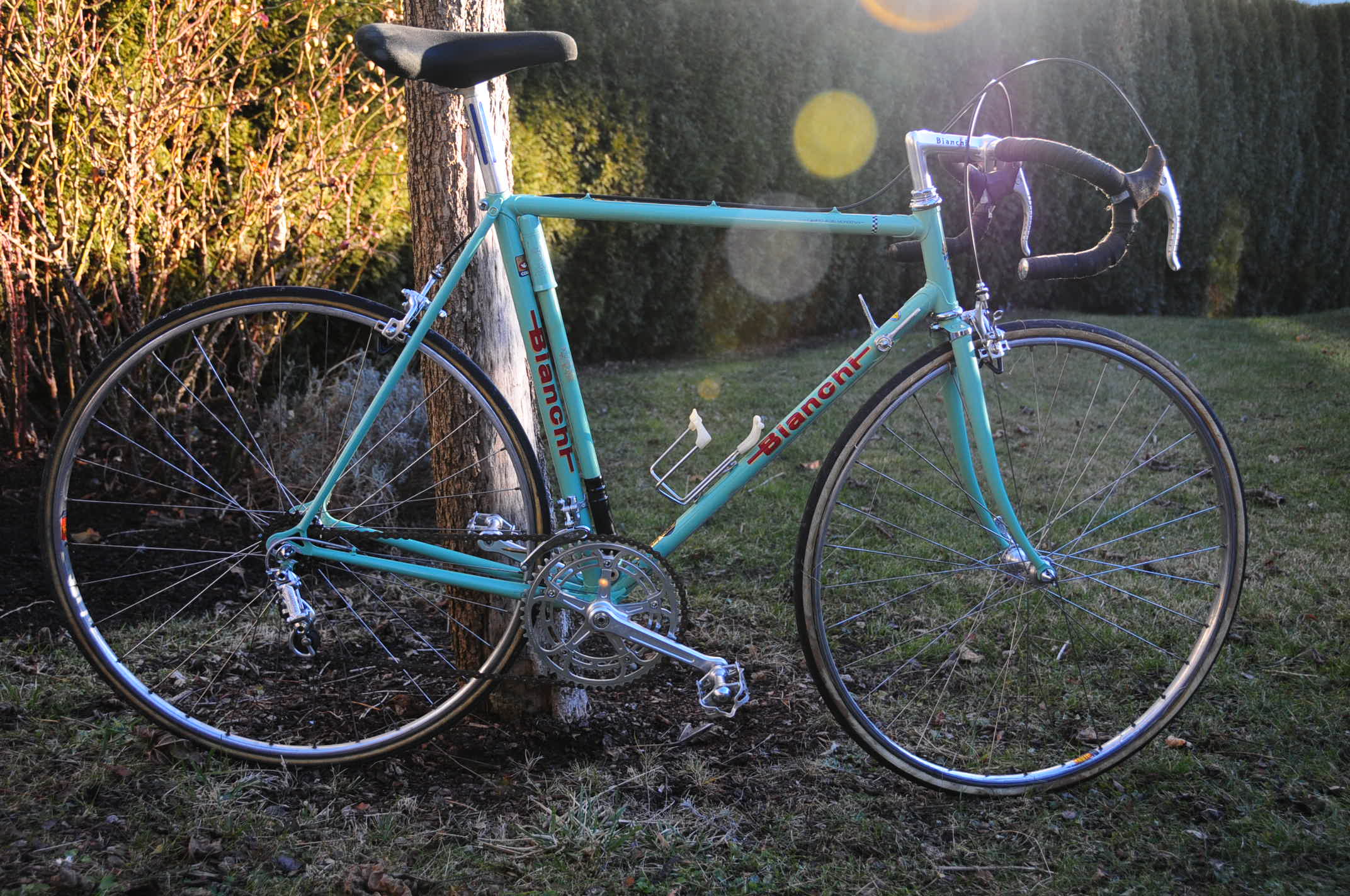 fahrrad 1581.JPG