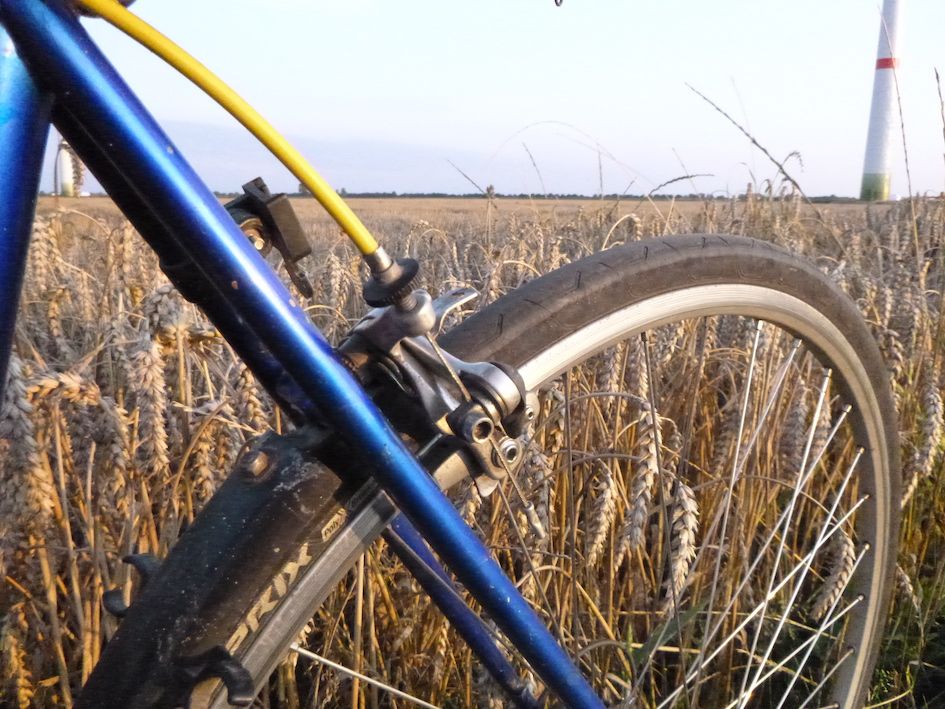 Fahrrad vor Weizenfeld.JPG