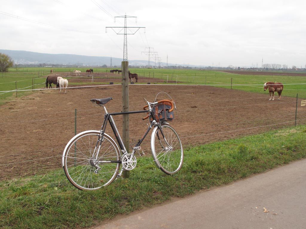 fahrstil2.jpg