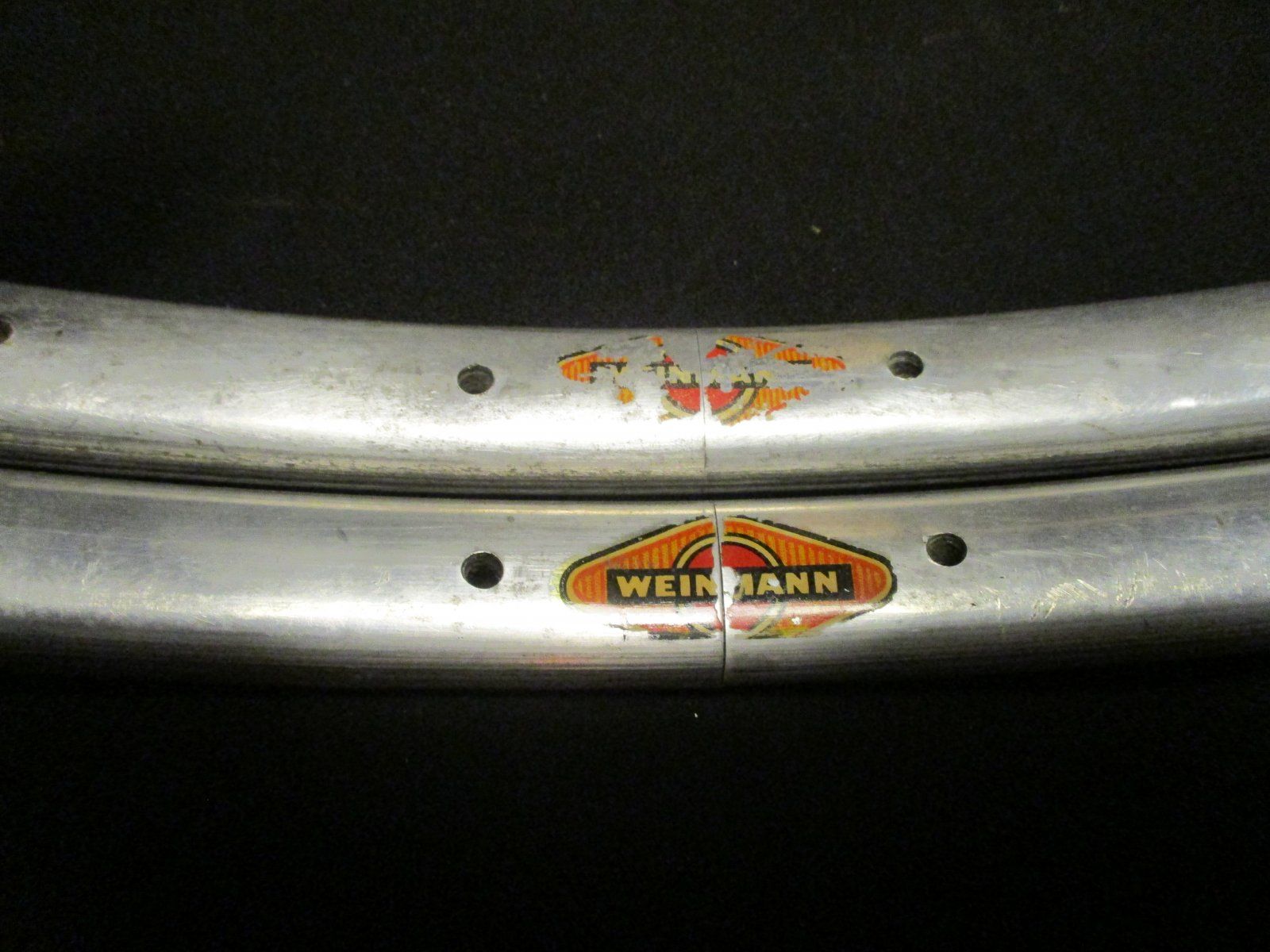 Fang1.JPG