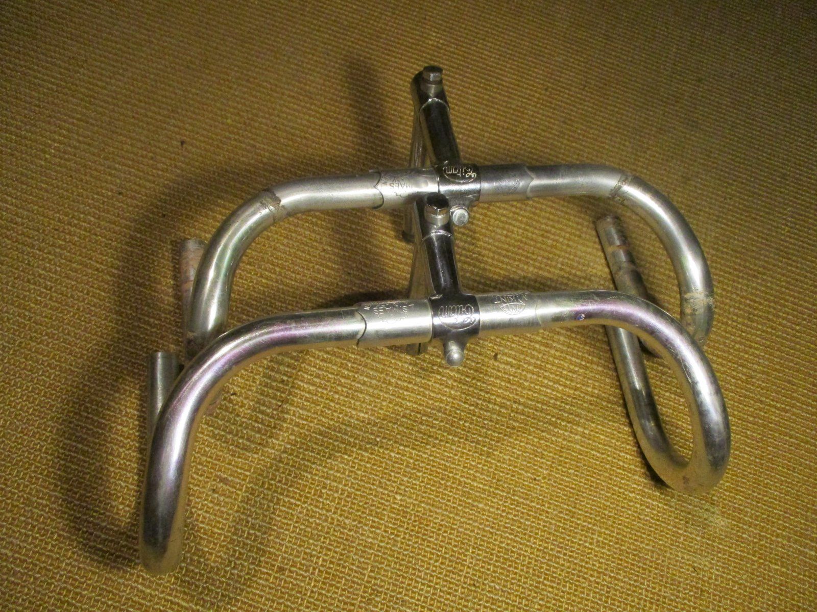 Fang5.JPG