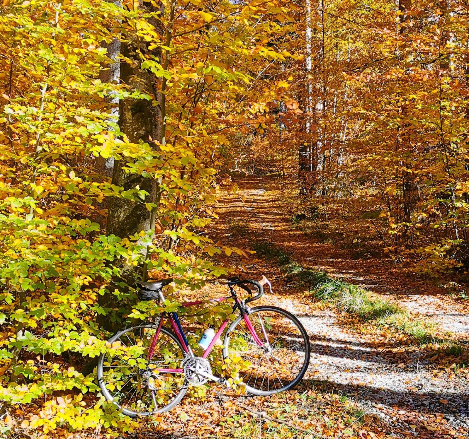 Farben+.jpg
