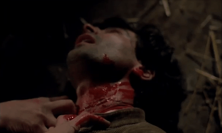 Fascination 1979 (4).gif