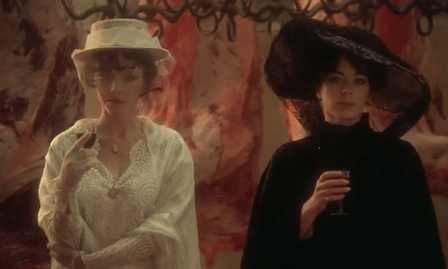 Fascination 1979 (6).gif
