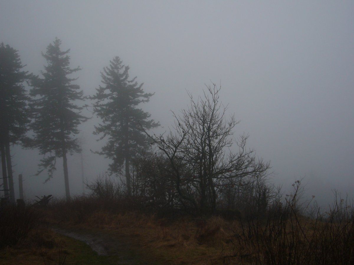 Feldbergmit Tom2013 008.JPG