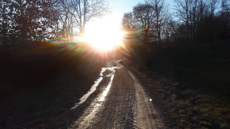 feldweg.jpg