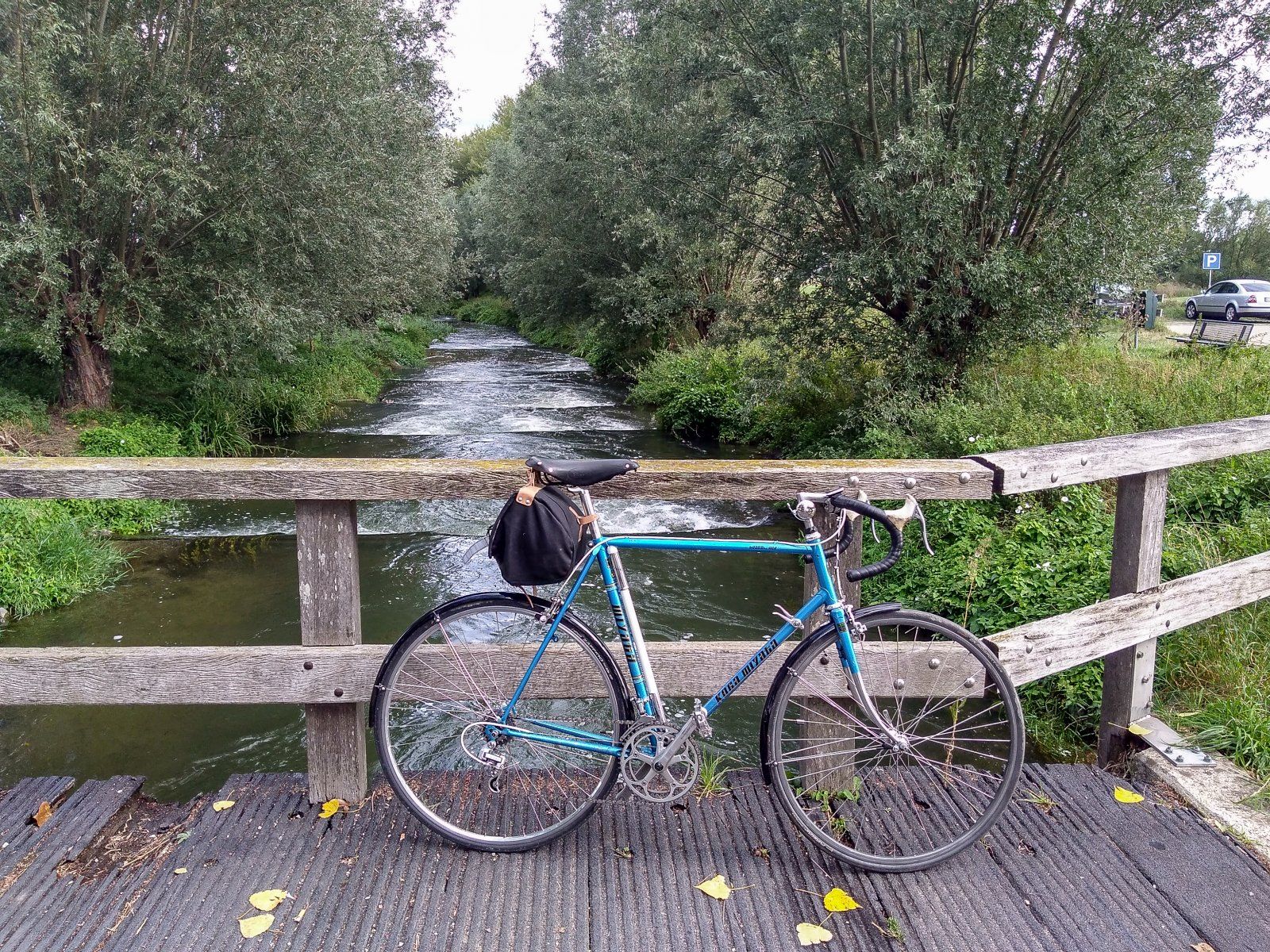 Fischtreppe am Wasserkraftwerk Linne.jpg