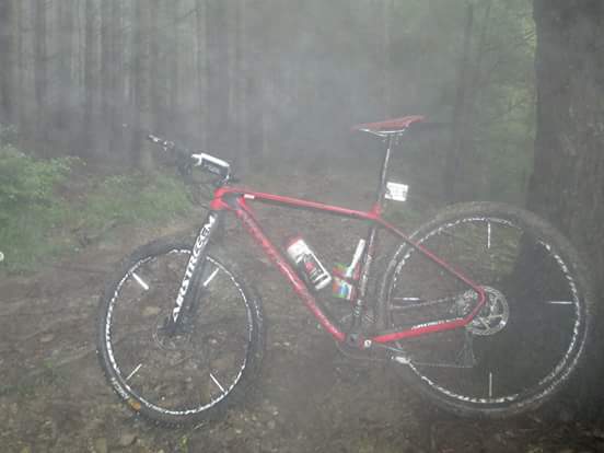 floh mtb.jpg